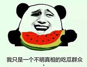 吃瓜群众免费吃瓜网站,揭秘吃瓜群众专属网站 第3张 吃瓜群众免费吃瓜网站,揭秘吃瓜群众专属网站 第3张